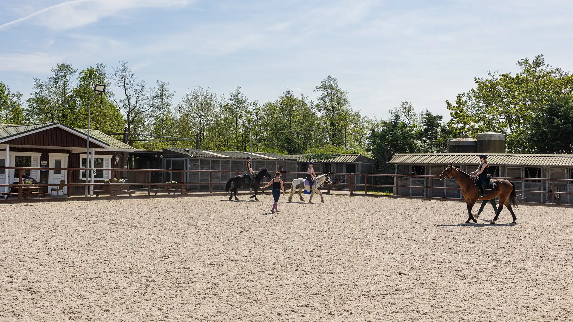 Stal Mulder Assendelft Manege Handelsstal Recreatie